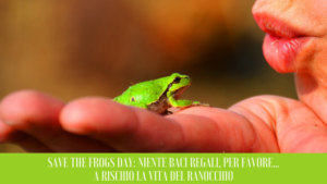 Save the Frog Day: niente baci regali, per favore… a rischio la vita del ranocchio