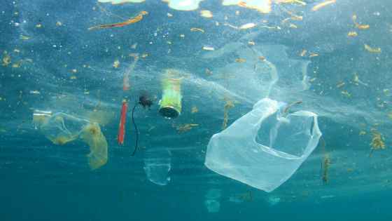 Giornata Europea per la Raccolta dei coperchi di plastica