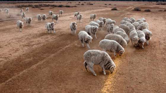 Una giornata dedicata alla lotta alla desertificazione e alla siccità